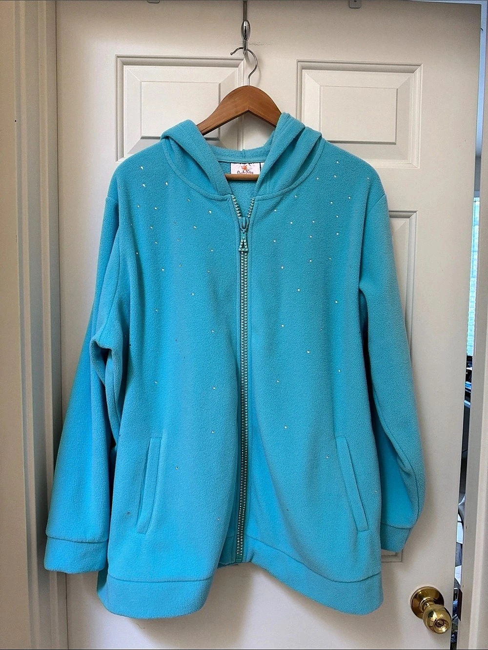 Quacker Factory Rhinestone Zip Hoodie in light blue - 2x